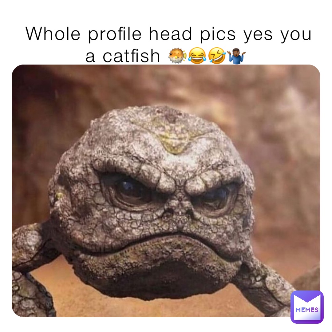 Whole profile head pics yes you a catfish 🐡😂🤣🤷🏾‍♂️, @Humble_But_Violent