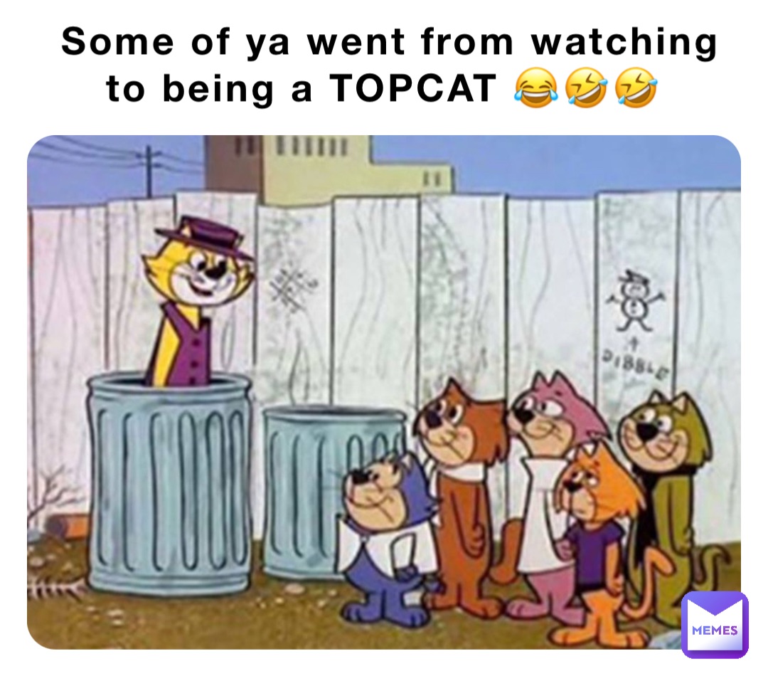 Some of ya went from watching to being a TOPCAT 😂🤣🤣