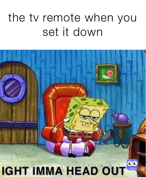 the tv remote when you set it down
