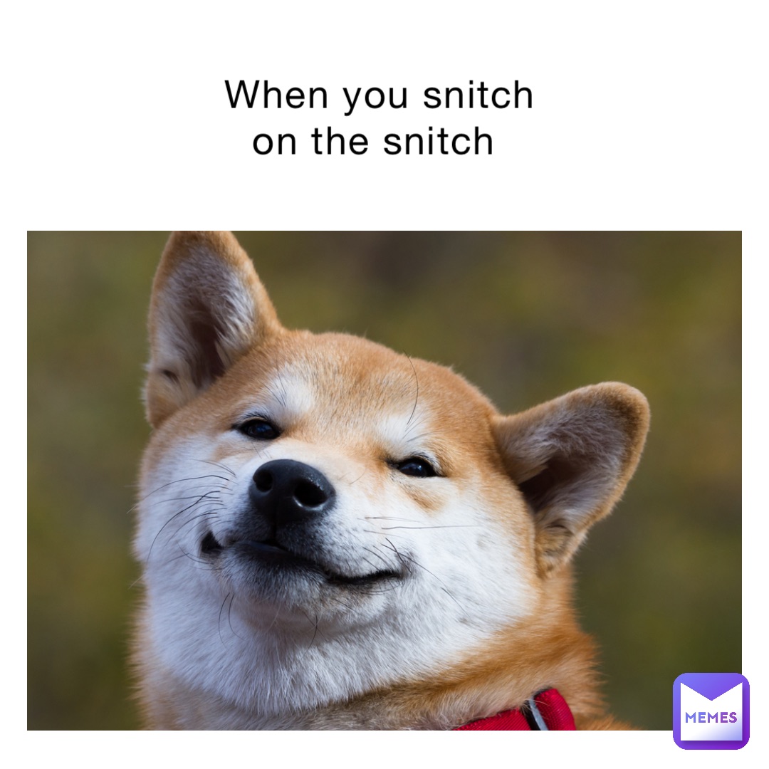 When you snitch on the snitch