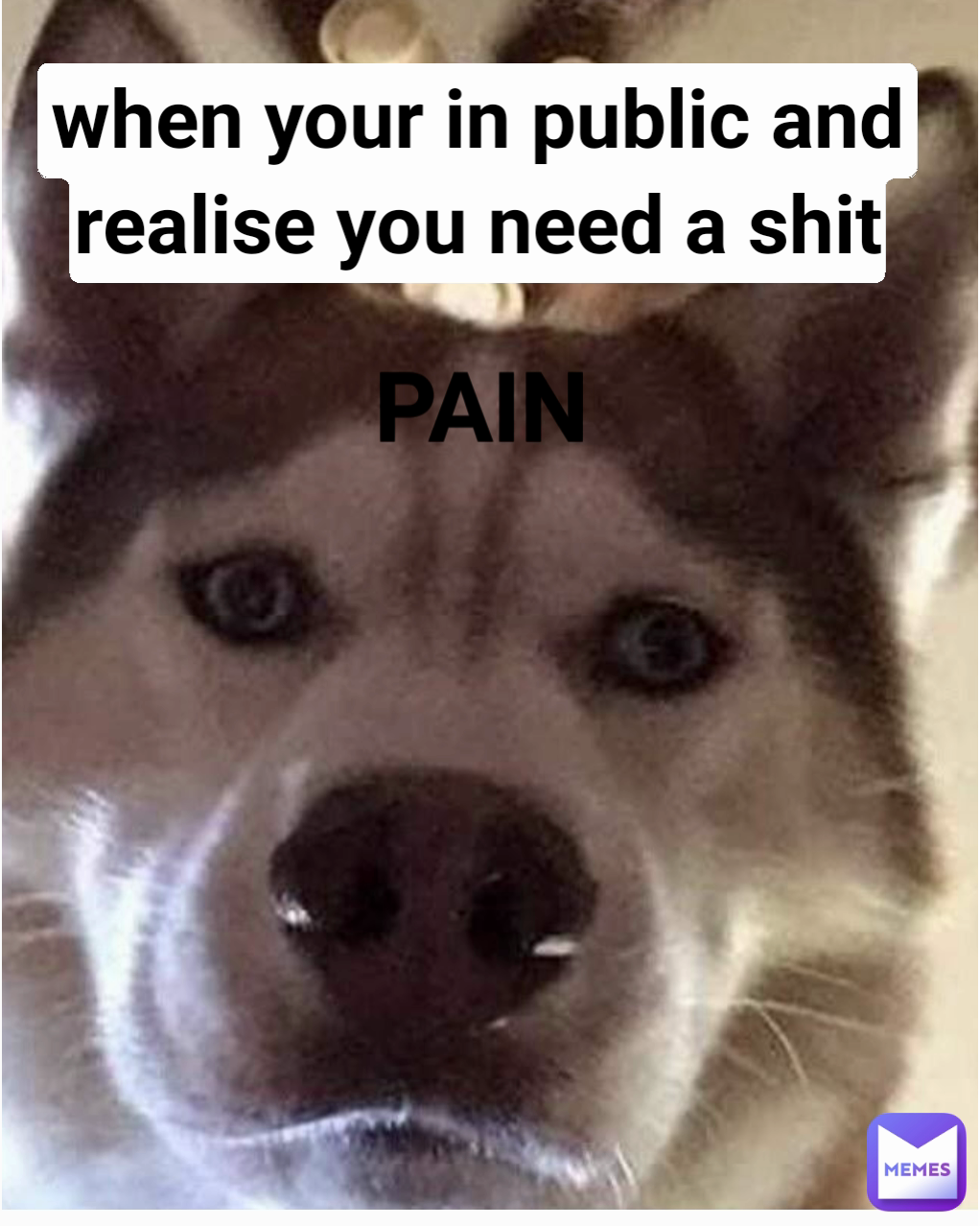 Meme by alyshalauren