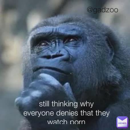 456px x 456px - still thinking why everyone denies that they watch porn @gadzoo | @Gadzoo |  Memes