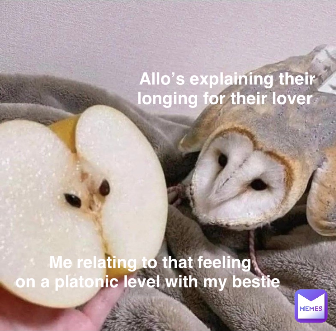 Allo’s explaining their 
longing for their lover Me relating to that feeling 
on a platonic level with my bestie