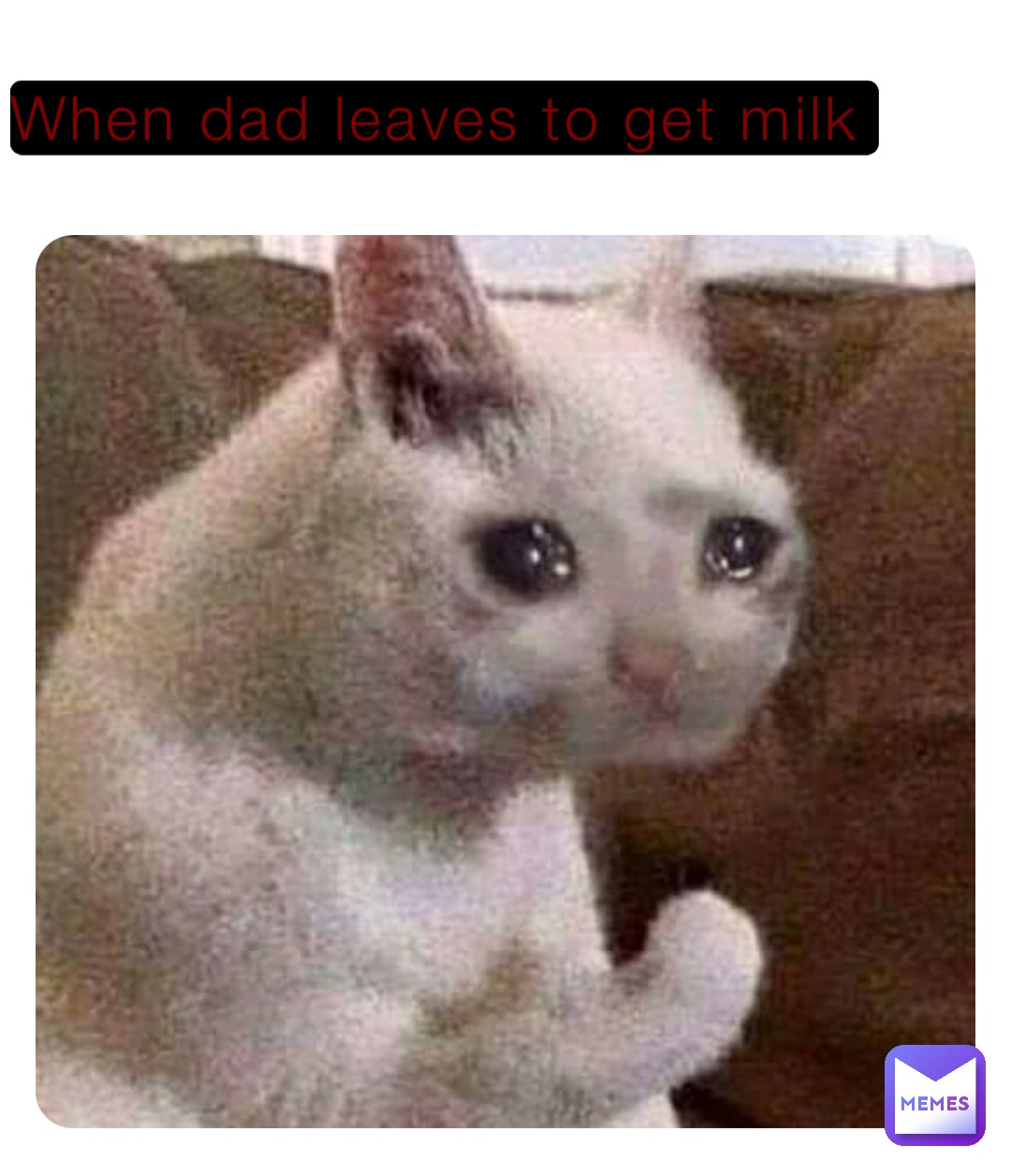 When dad leaves to get milk