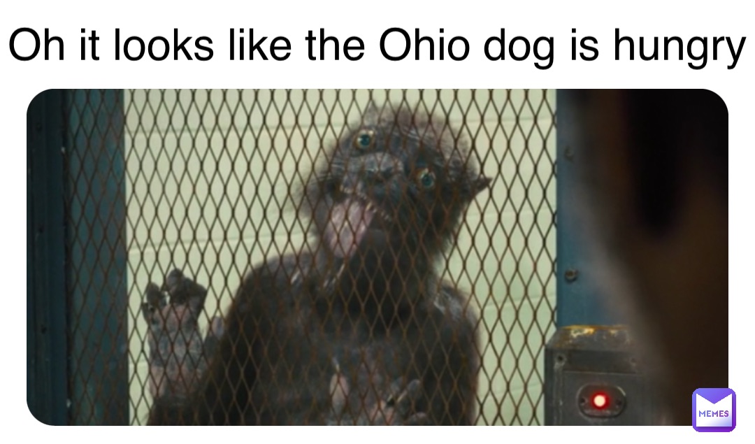 Double tap to edit Oh it looks like the Ohio dog is hungry