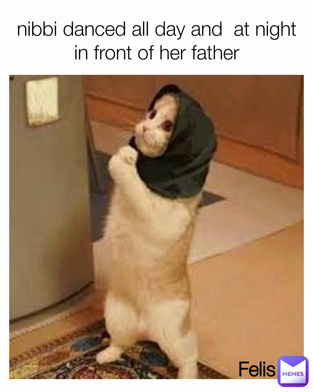 Felis nibbi danced all day and  at night in front of her father