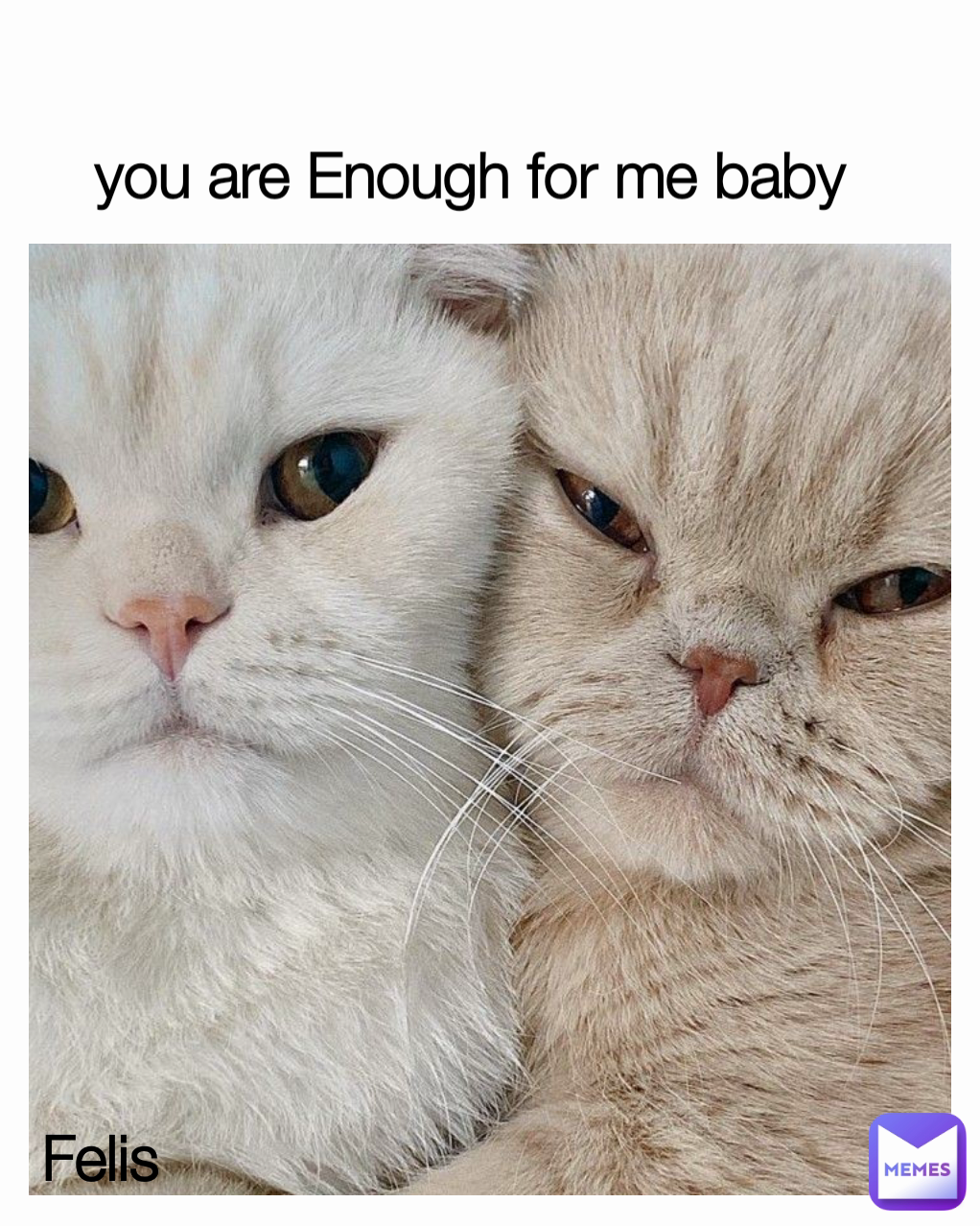 Felis you are Enough for me baby