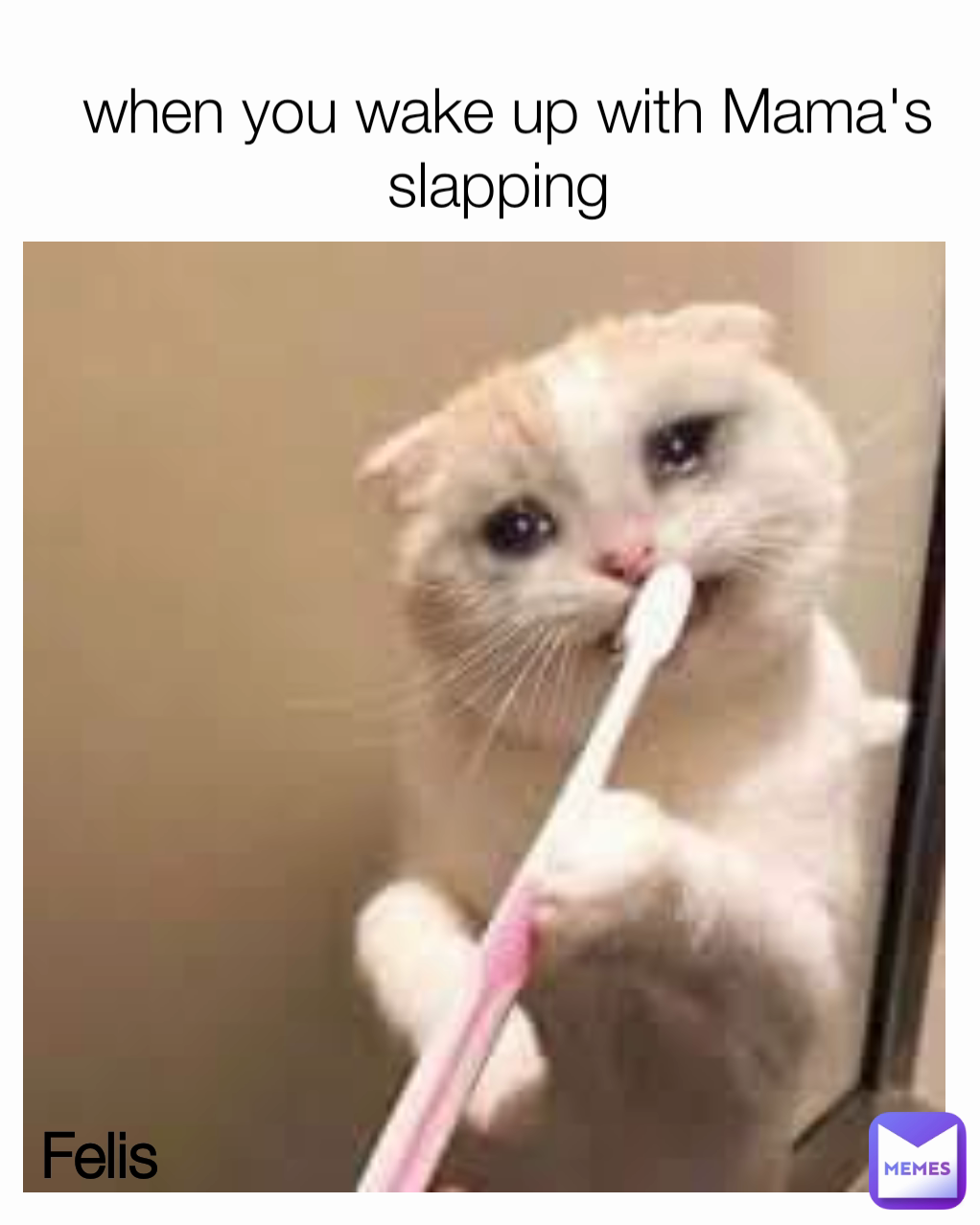 when you wake up with Mama's slapping  Felis 
