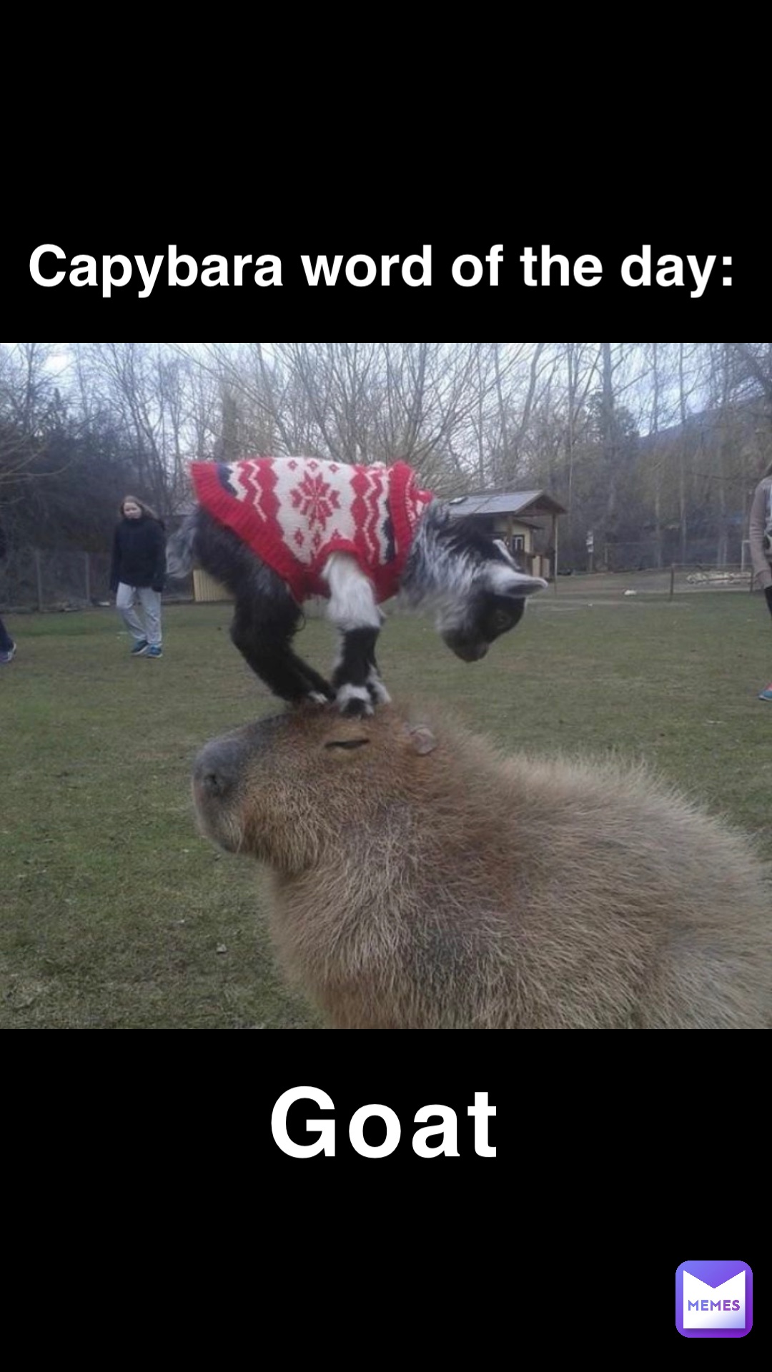 Meme by nicole_1646783611