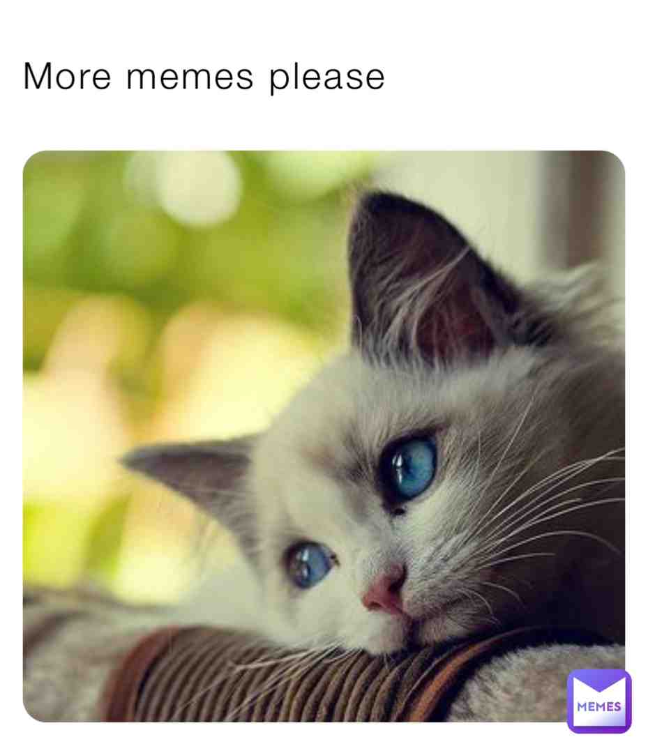 Meme shared by @linings08charms