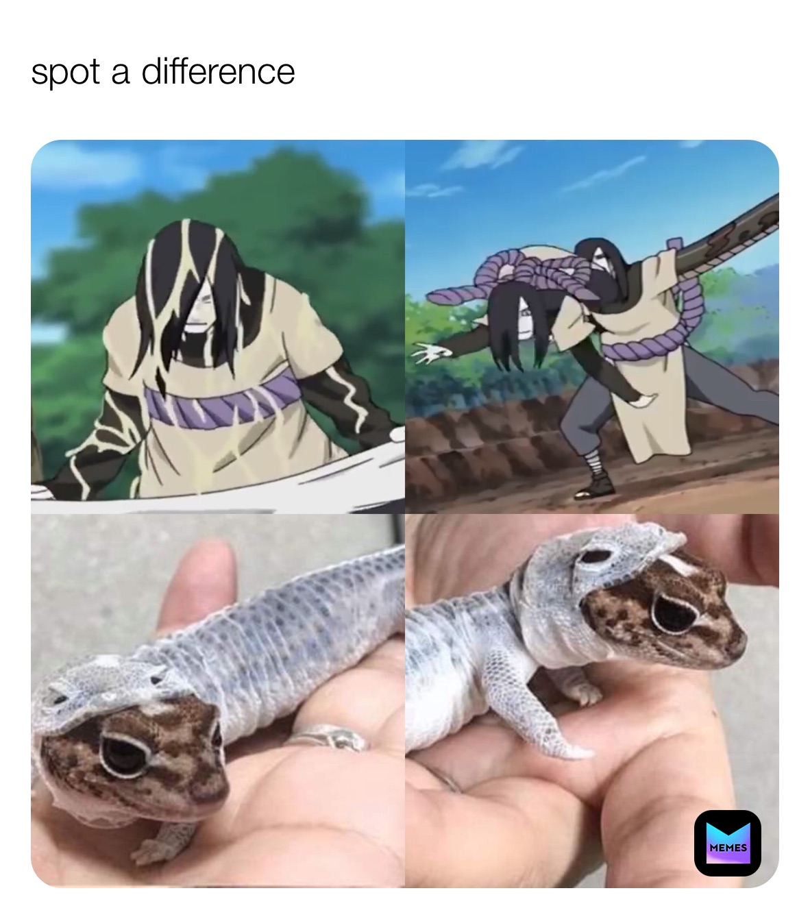 spot a difference 
