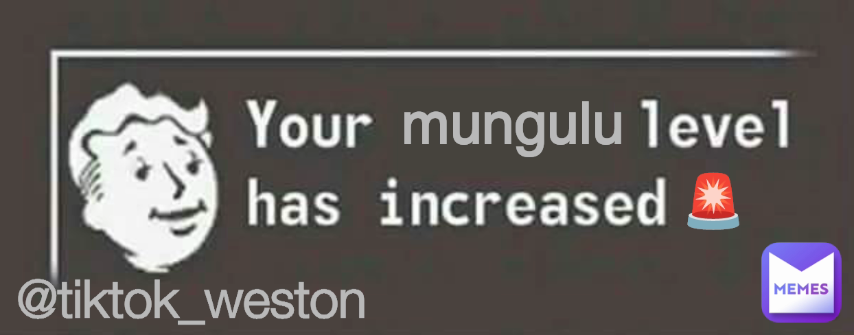 🚨 @tiktok_weston mungulu