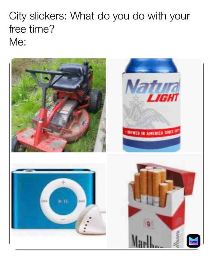 Meme shared by @memes_for_beags_