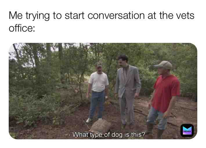 Meme shared by @memes_for_beags_