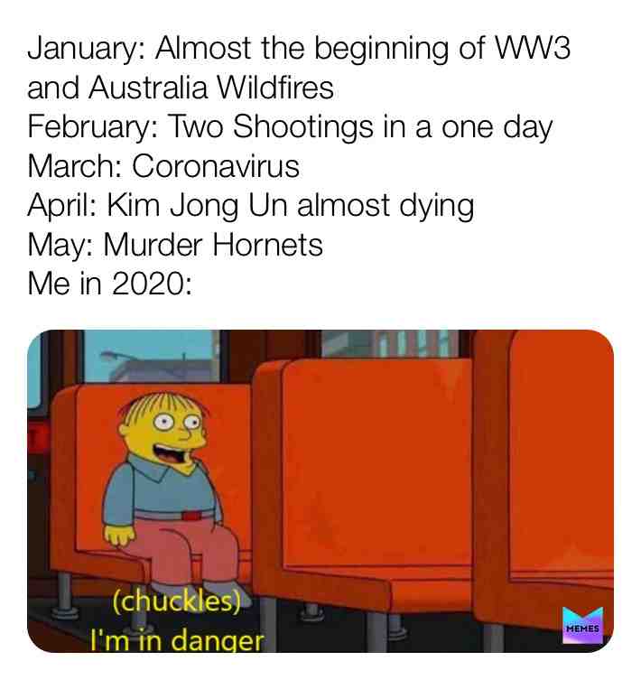 I’m in danger memes #coronavirus #murderhornets #ww3
