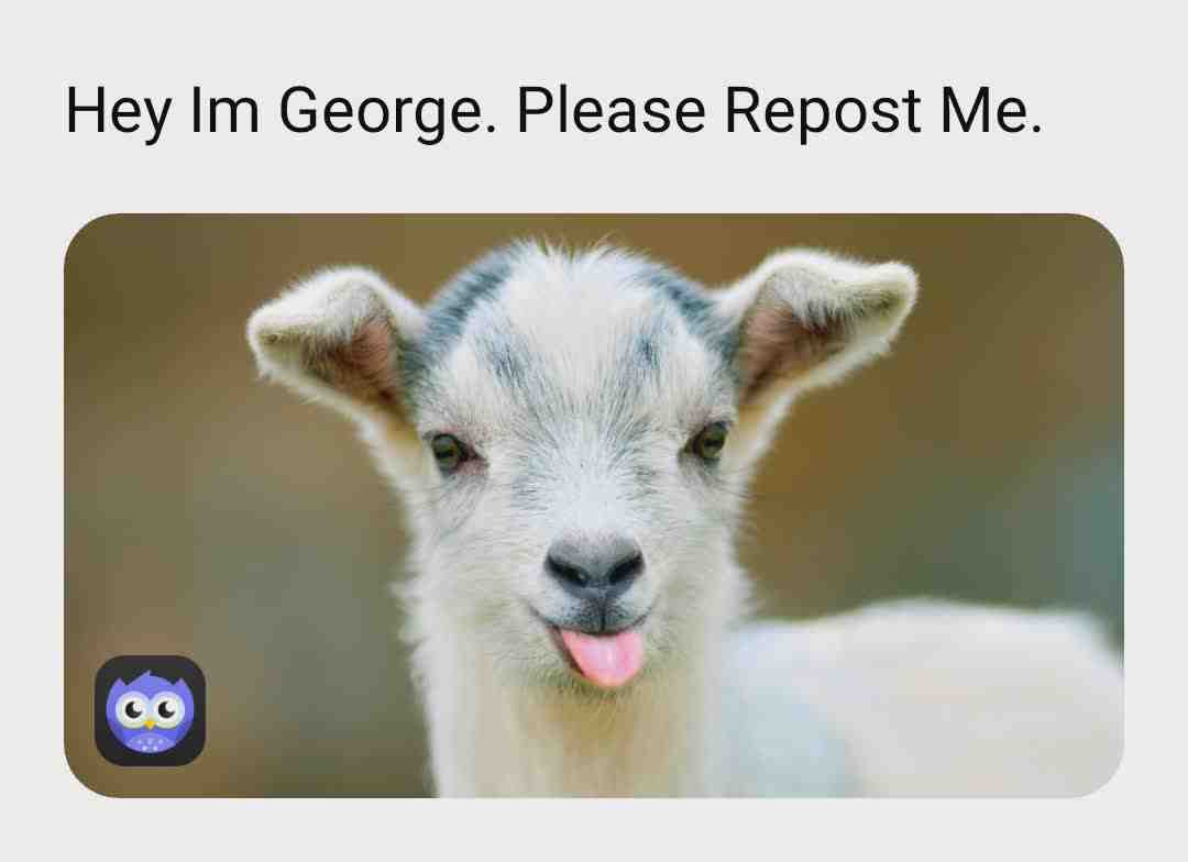 Repost George! #georgethegoat