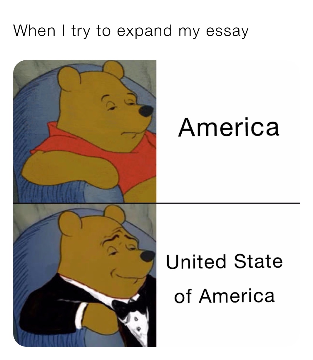 Meme by Ordinary_Guy