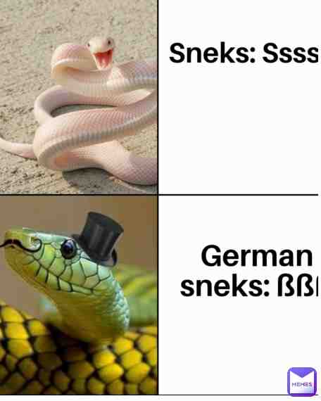 Meme shared by @Pepe_is_behind_you