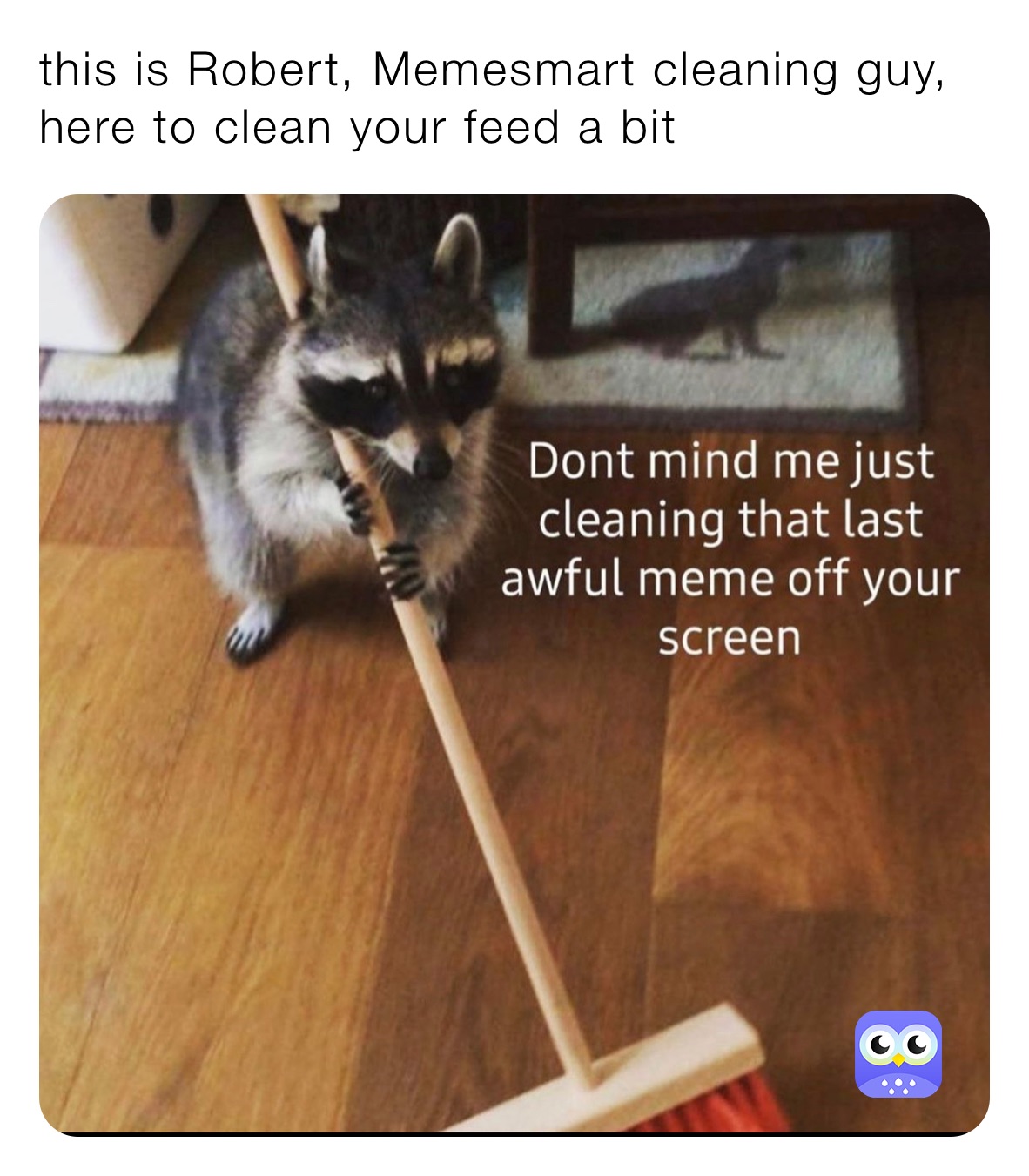 this is Robert, Memesmart cleaning guy, here to clean your feed a bit 