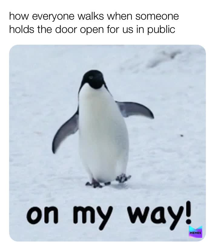 #publicmeme  #publicmemes  #publicpublic  #public  #meme  #memes  #follow  #makemefamous