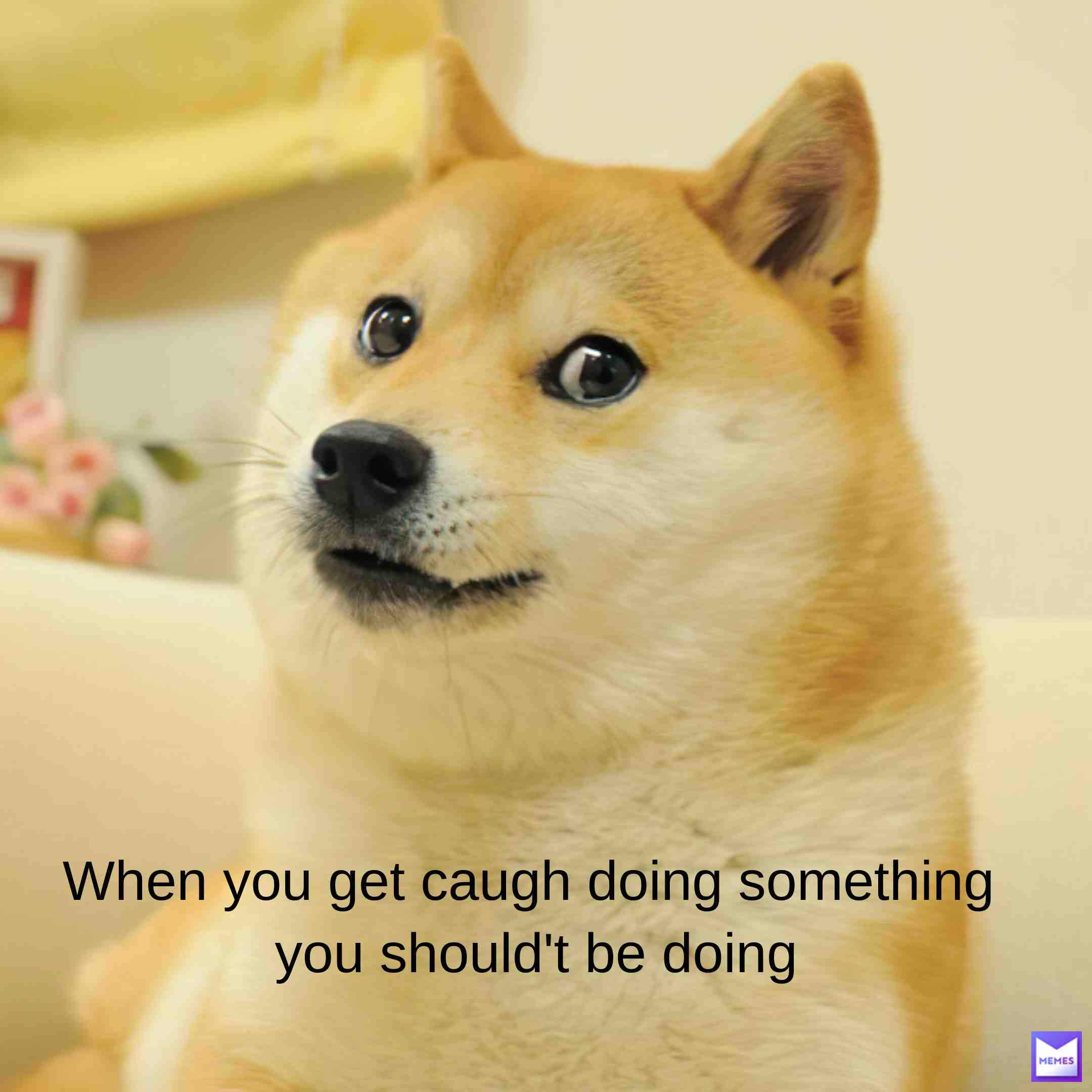 #doge