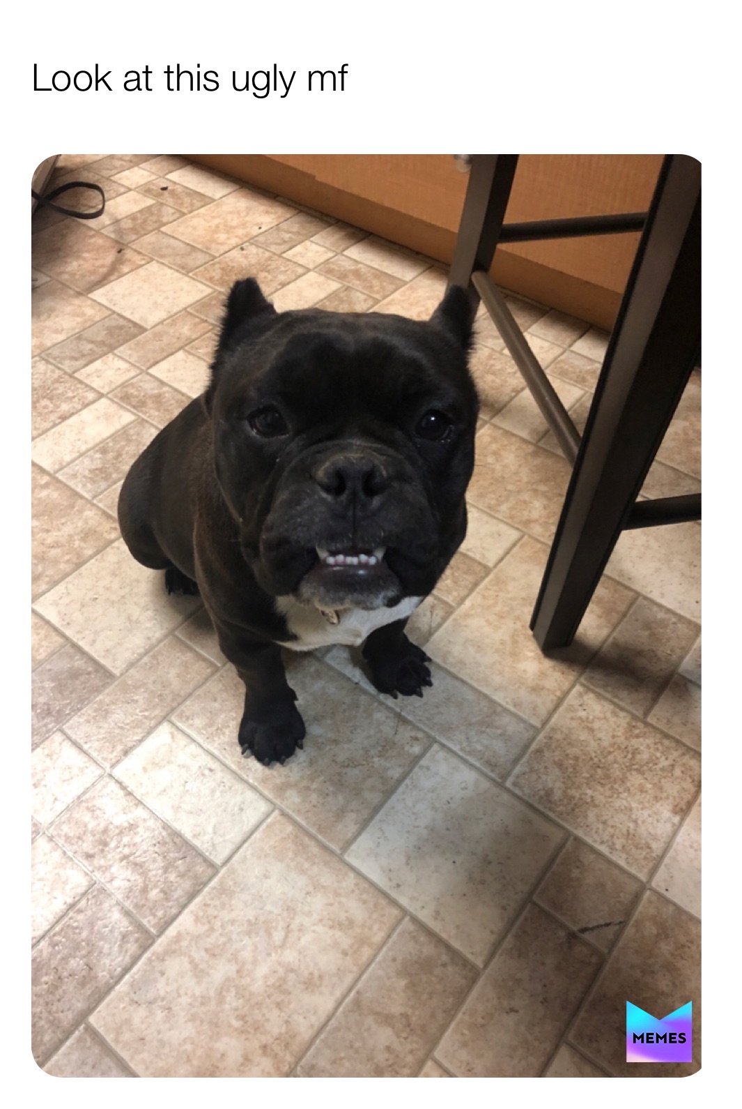 Meme by DG2_Randomizer