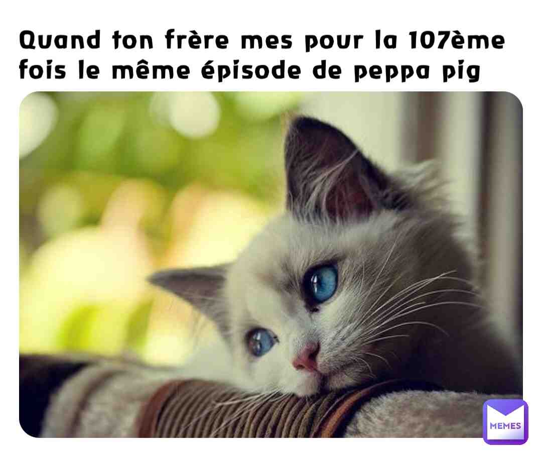 Meme shared by @Miss_Kit_Cat_MEME
