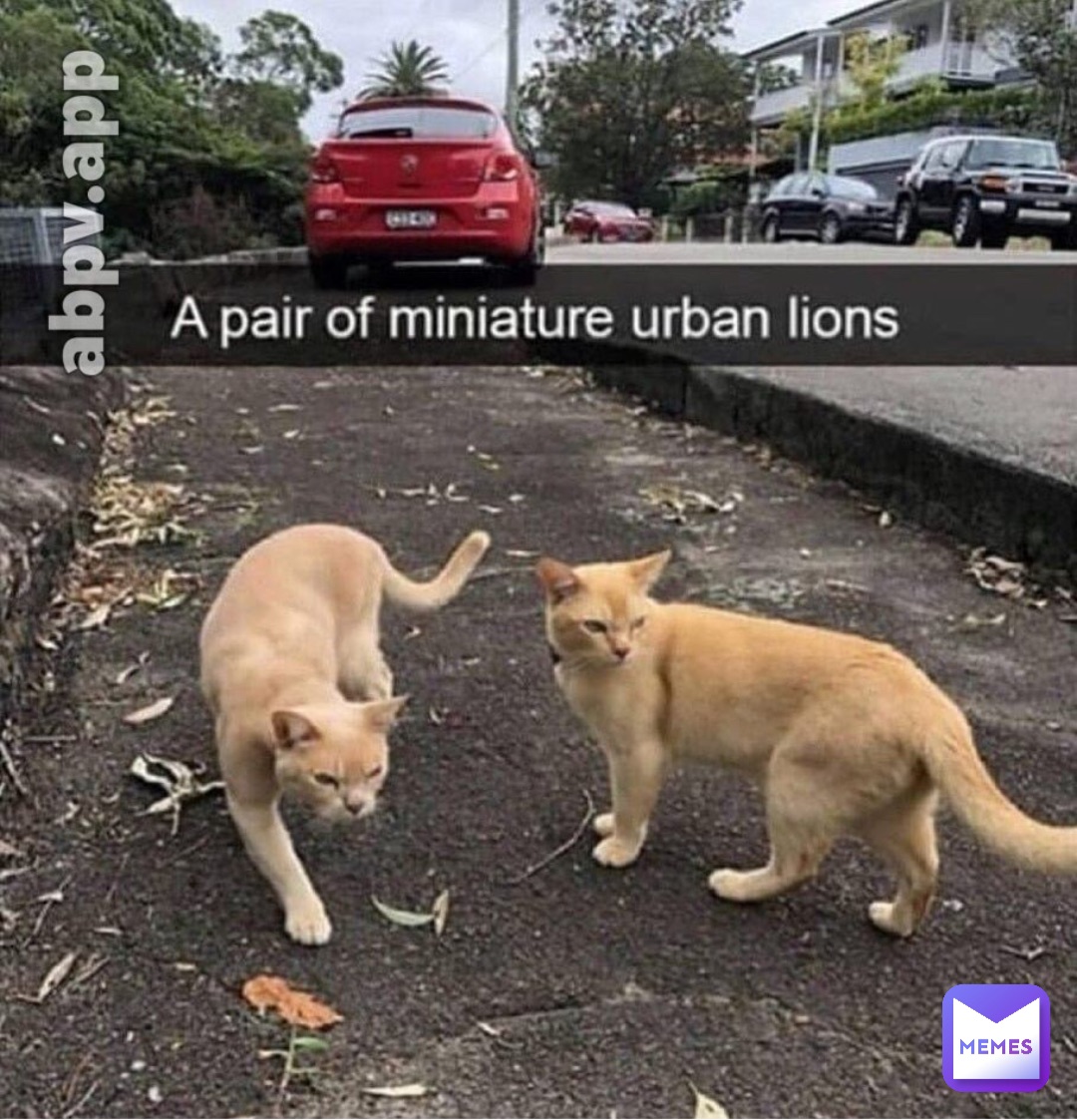 Meme by DailyMovieMemes