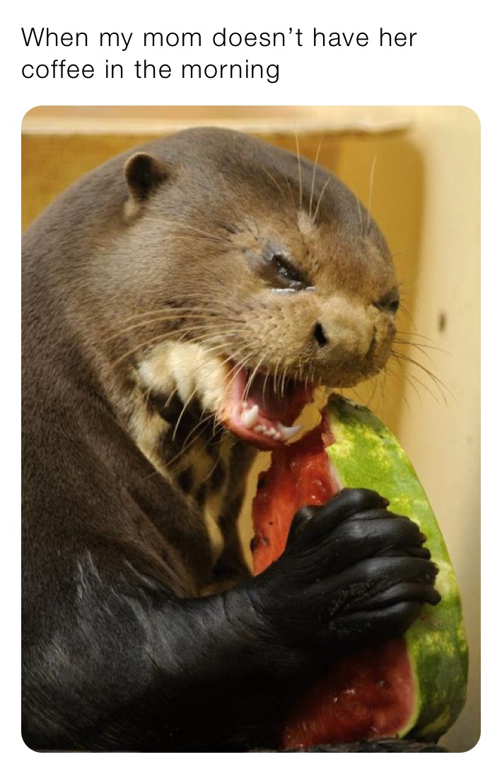 Meme by liz-myers_1608932528