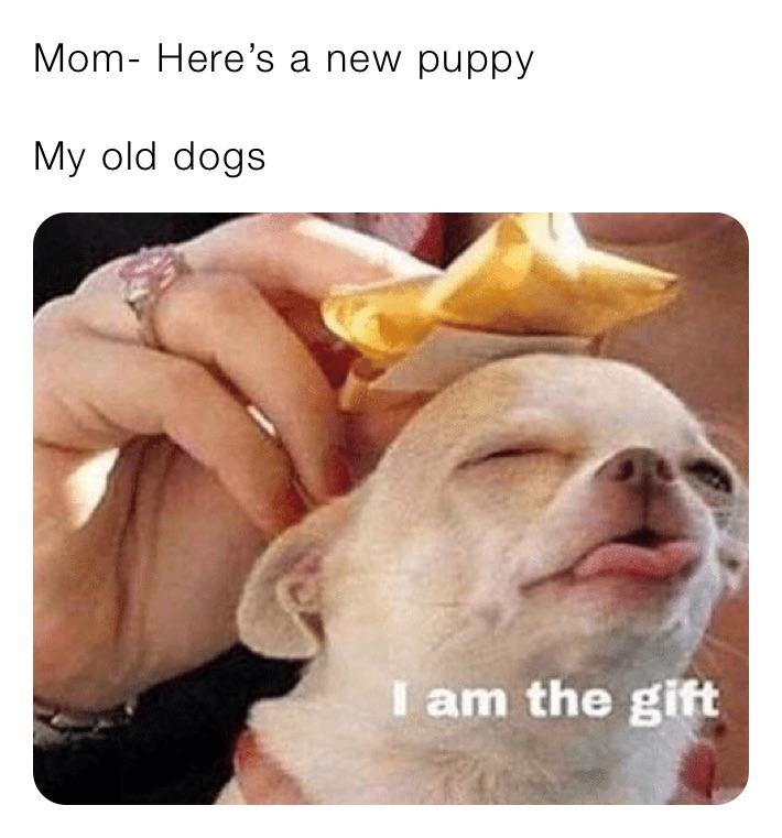 Meme by liz-myers_1608932528