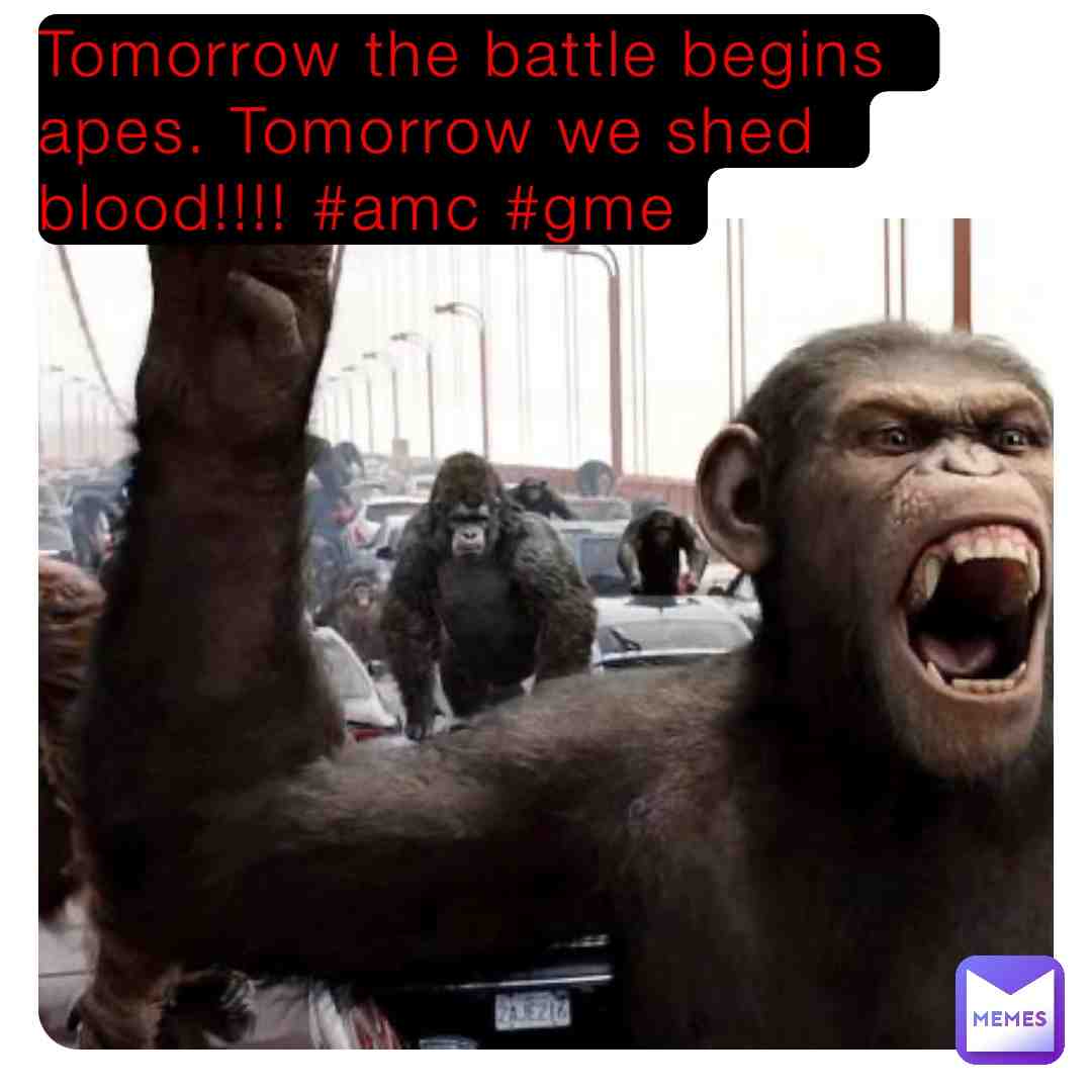 #amc #gme