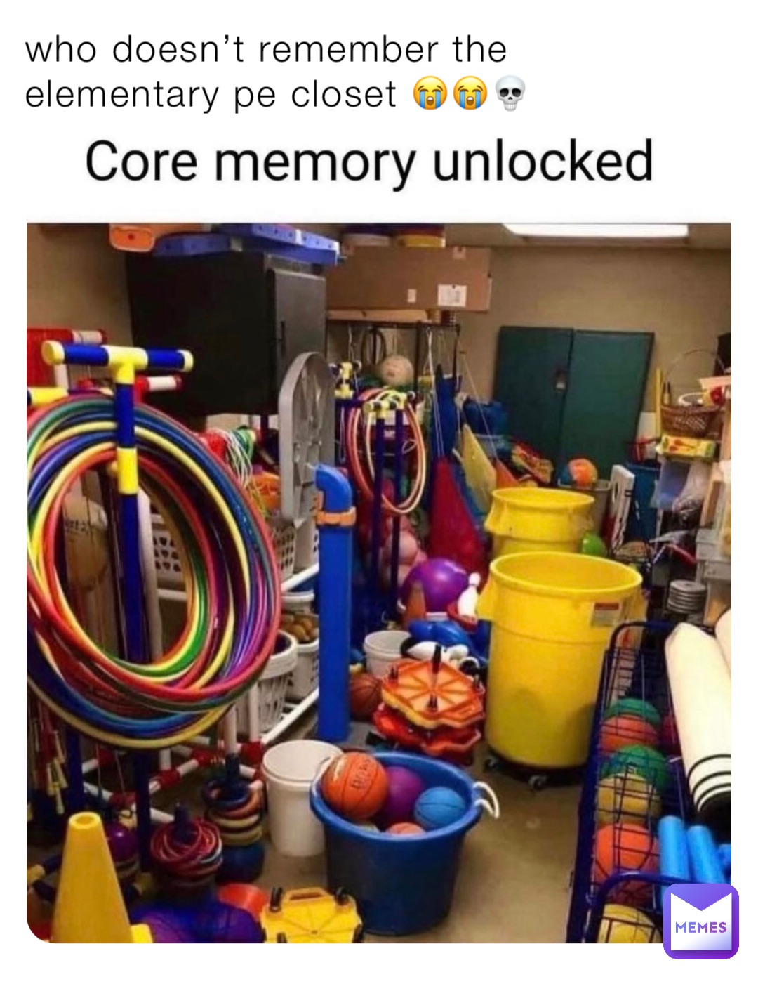 who doesn’t remember the elementary pe closet 😭😭💀