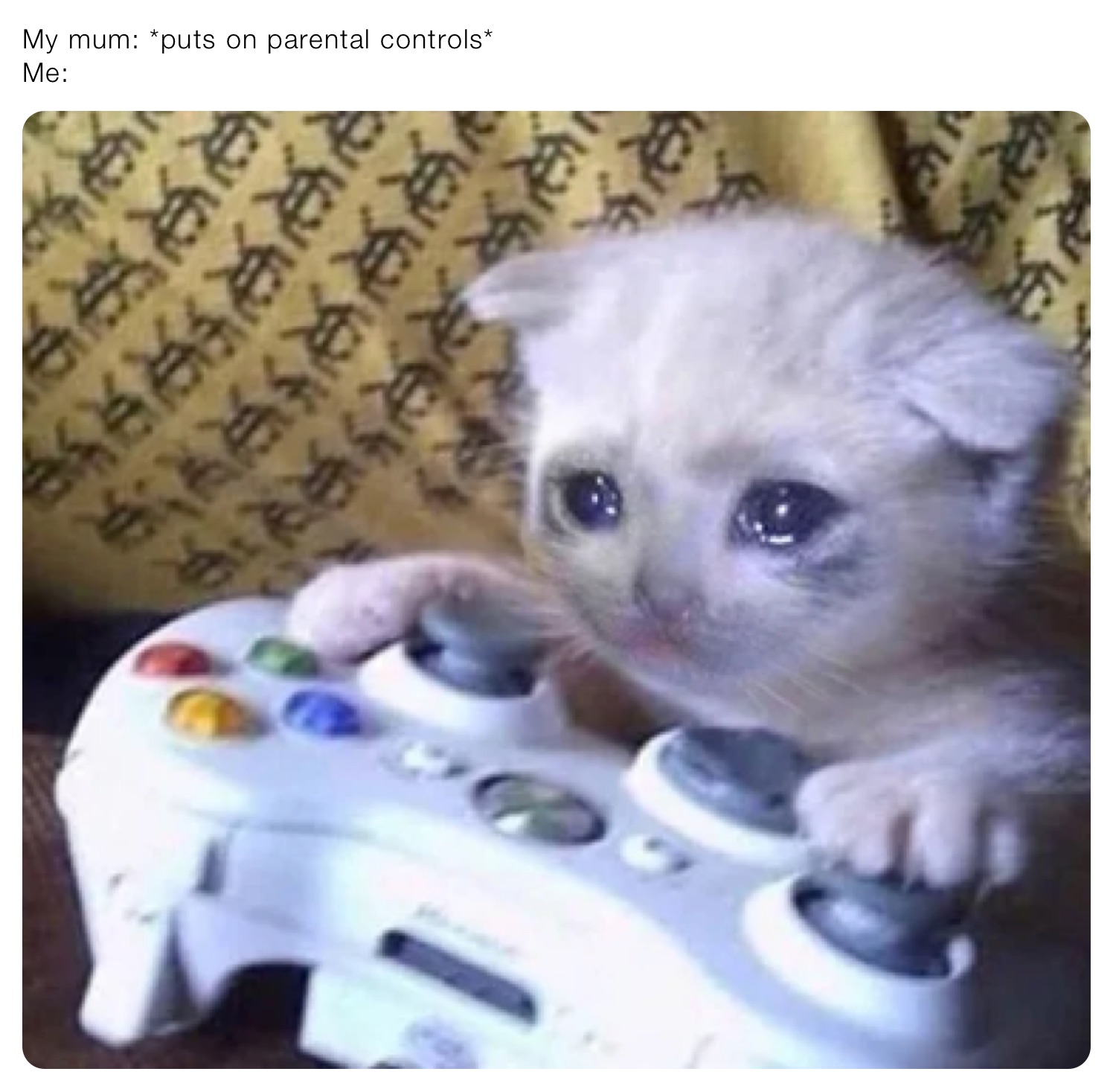 My mum: *puts on parental controls*
Me: