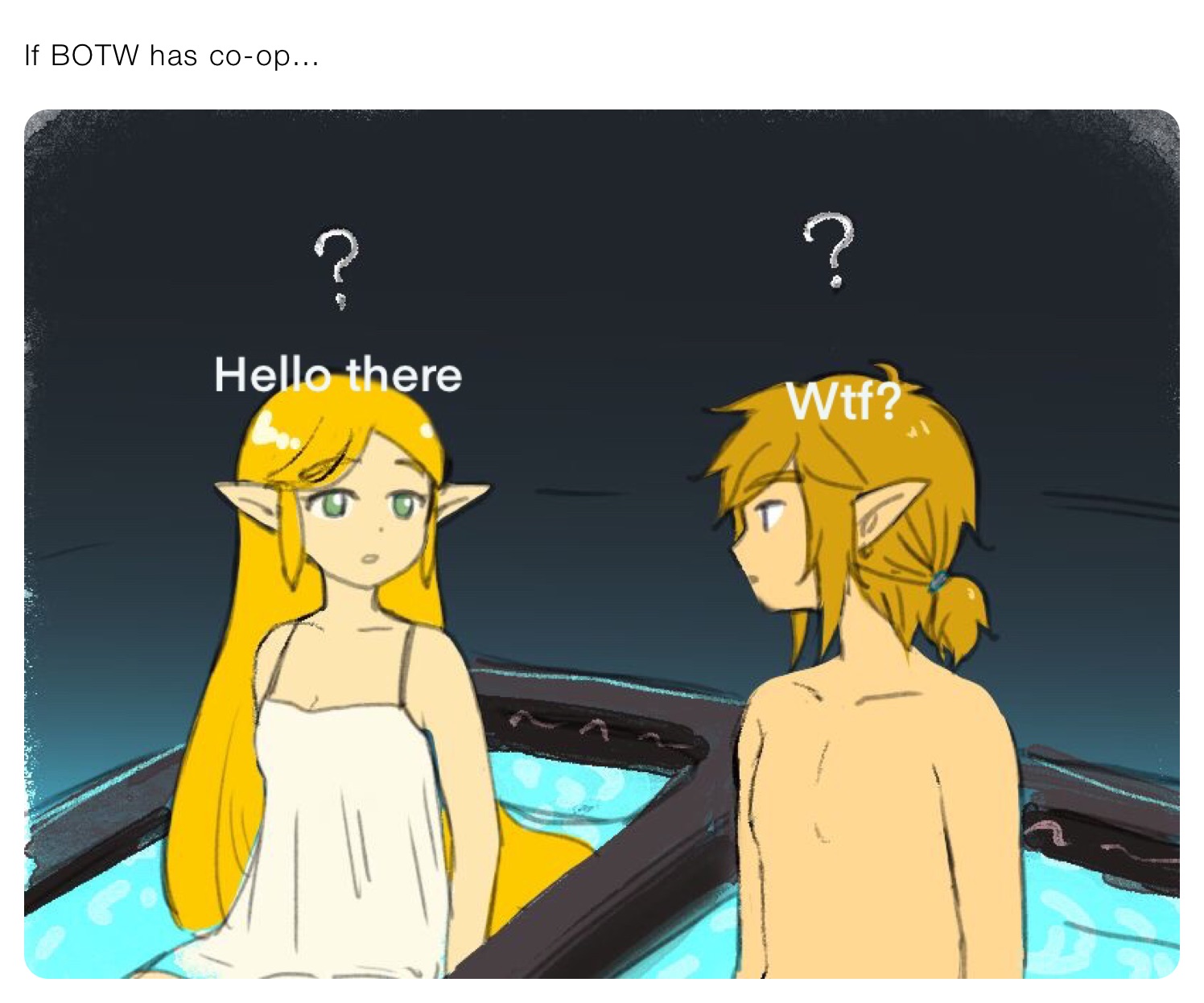 If BOTW has co-op…