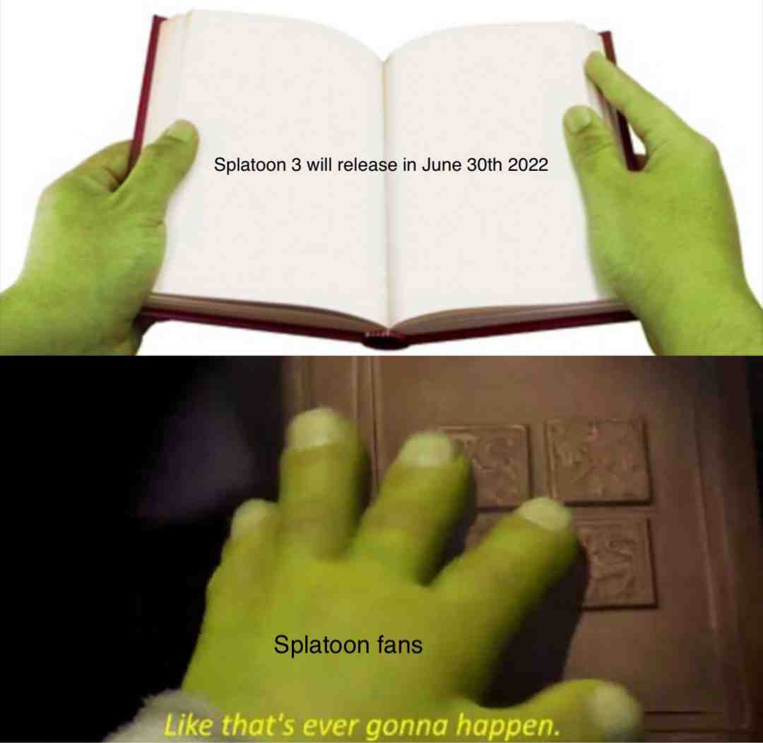 #splatoon When will splatoon 3 actually release other than 2022