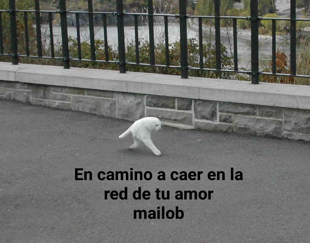 yo tus nalgas | @tarotparagatoss | Memes, image size:1022x804