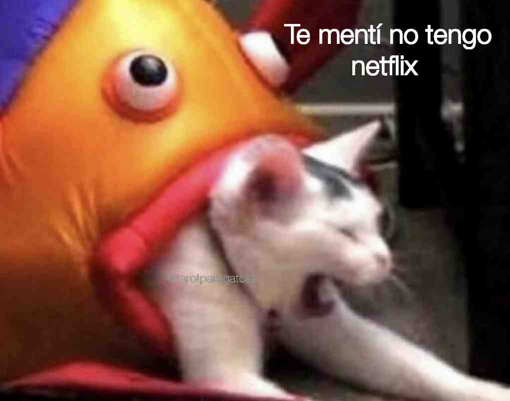 Meme shared by @tarotparagatoss