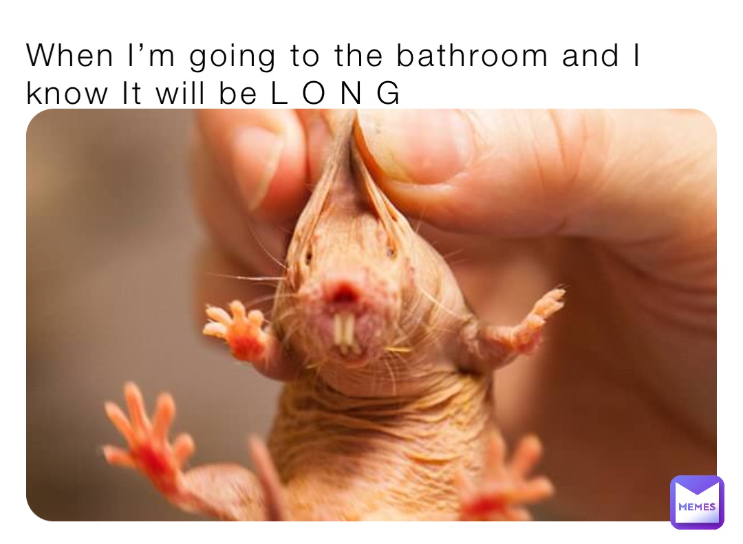 When I’m going to the bathroom and I know It will be L O N G