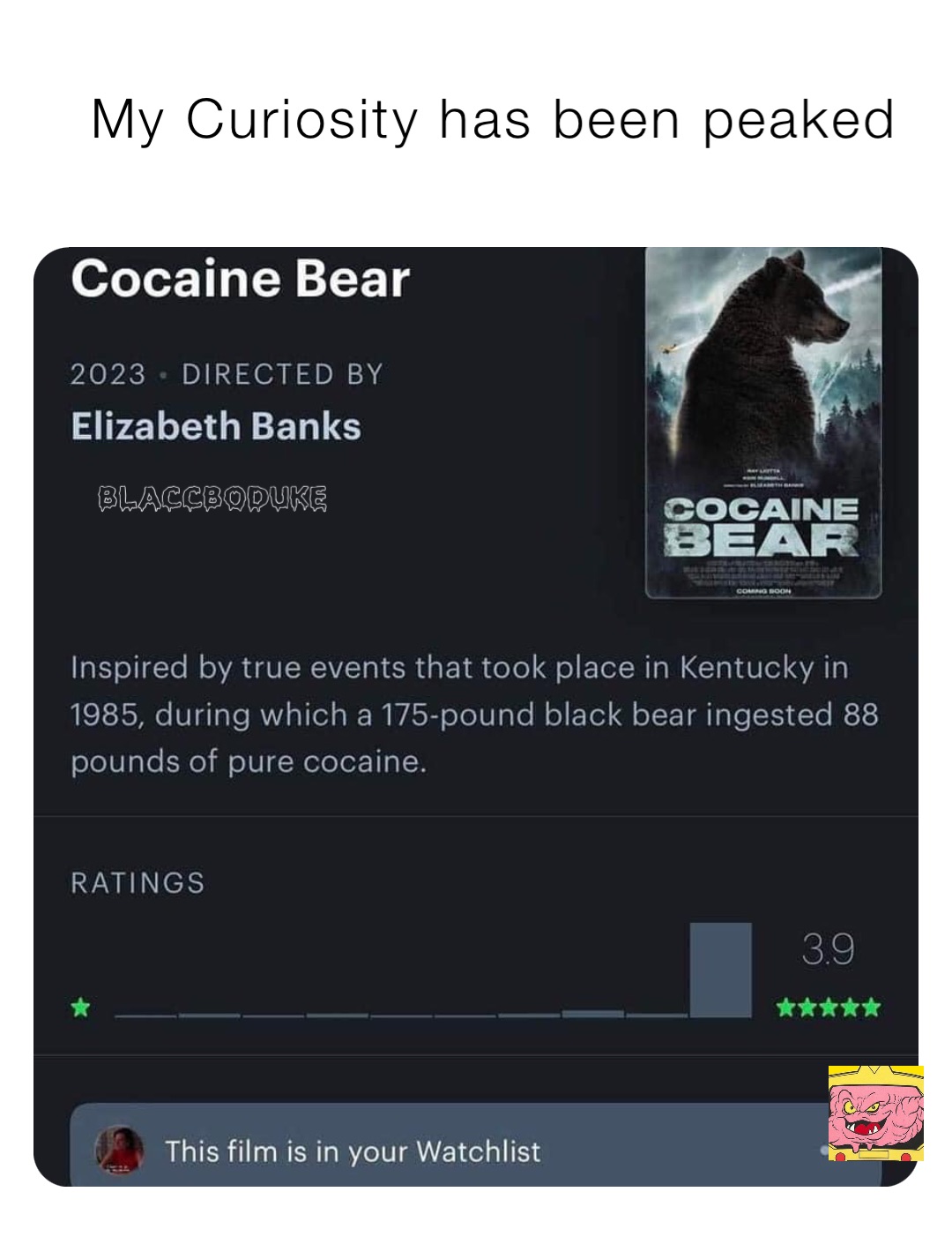 My Curiosity has been peaked