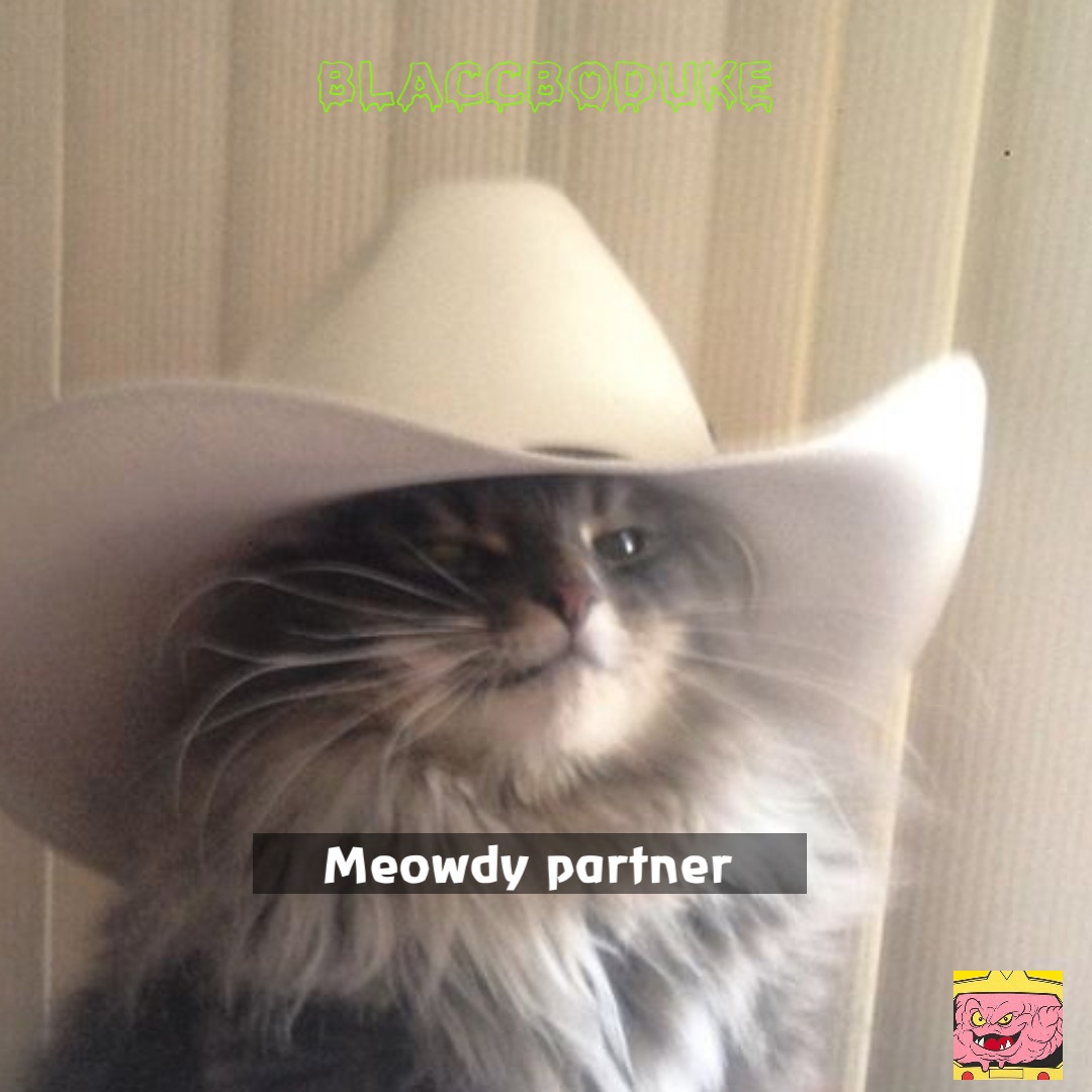 Meowdy partner BlaccBoDuke