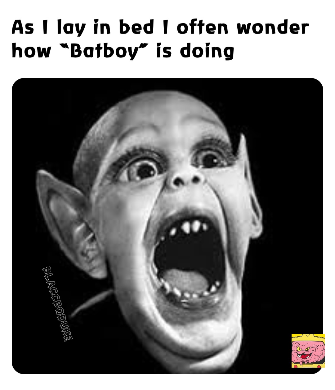 As I lay in bed I often wonder how “Batboy” is doing