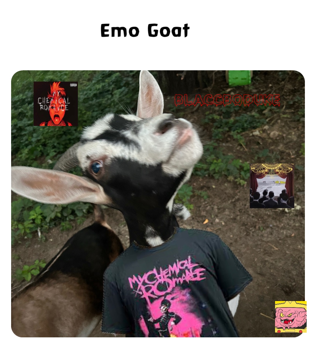 EMO Pet – Apps on Google Play