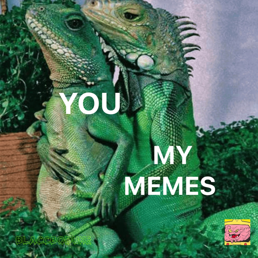 YOU MY 
MEMES