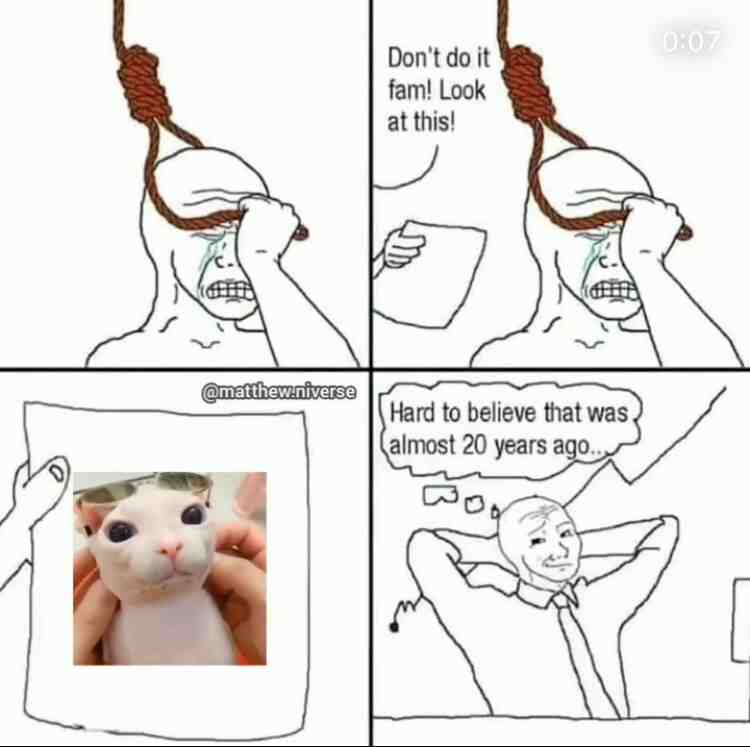 ​ #foryou ​ #meme #bingus