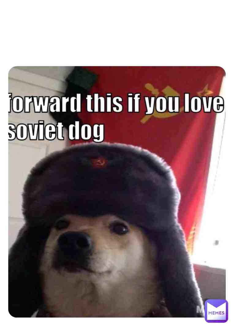 Meme shared by @Bloodhound766