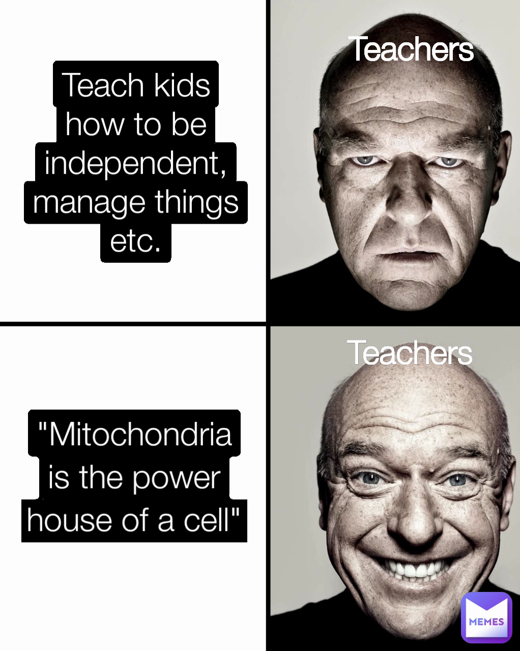 "Mitochondria is the power house of a cell"
 Teachers
 Teach kids how to be independent, manage things etc.
 Teachers