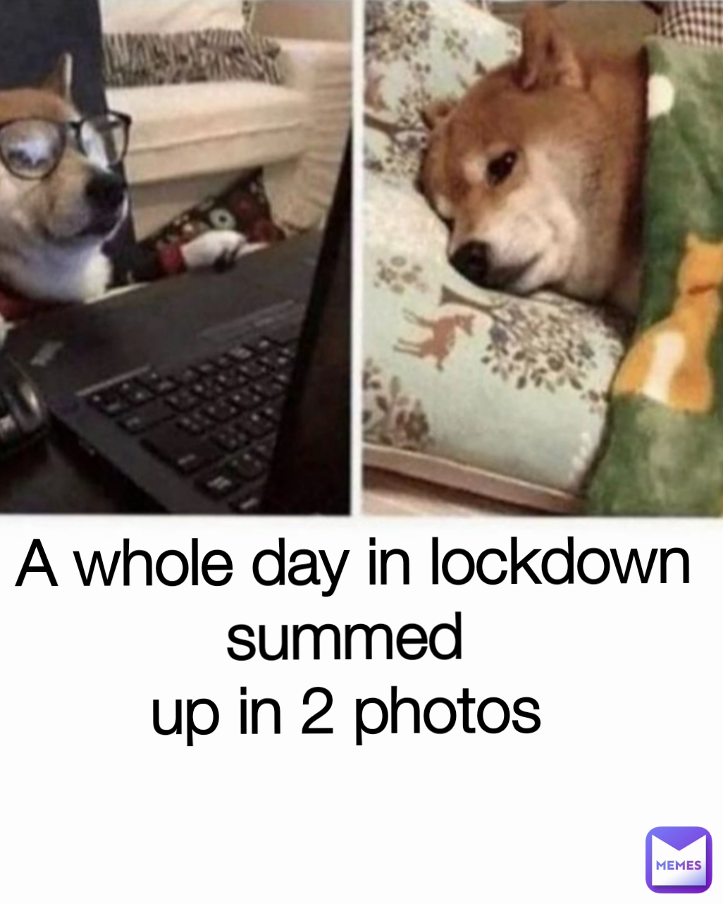 A whole day in lockdown summed 
up in 2 photos 