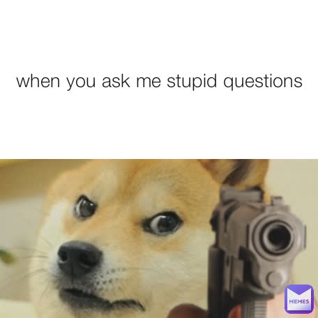 when you ask me stupid questions