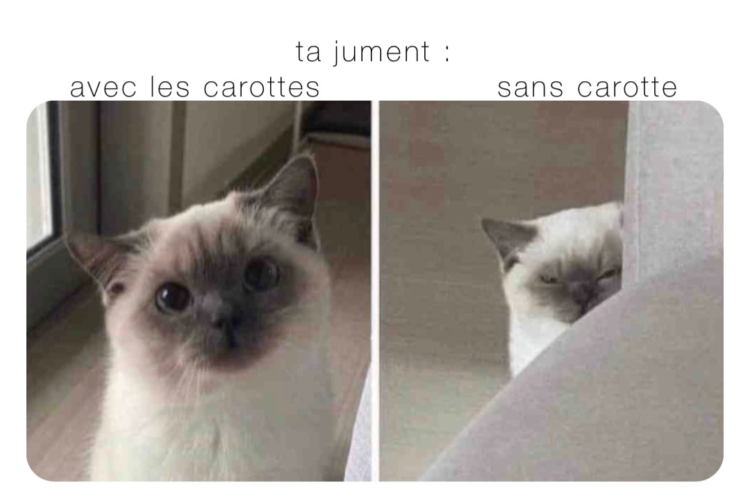 ta jument :
avec les carottes                sans carotte