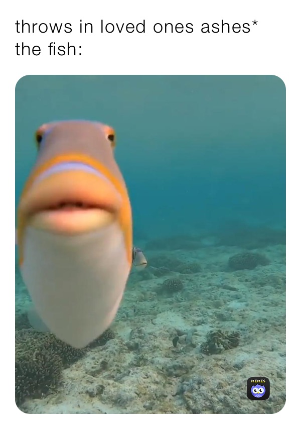 throws in loved ones ashes* the fish: